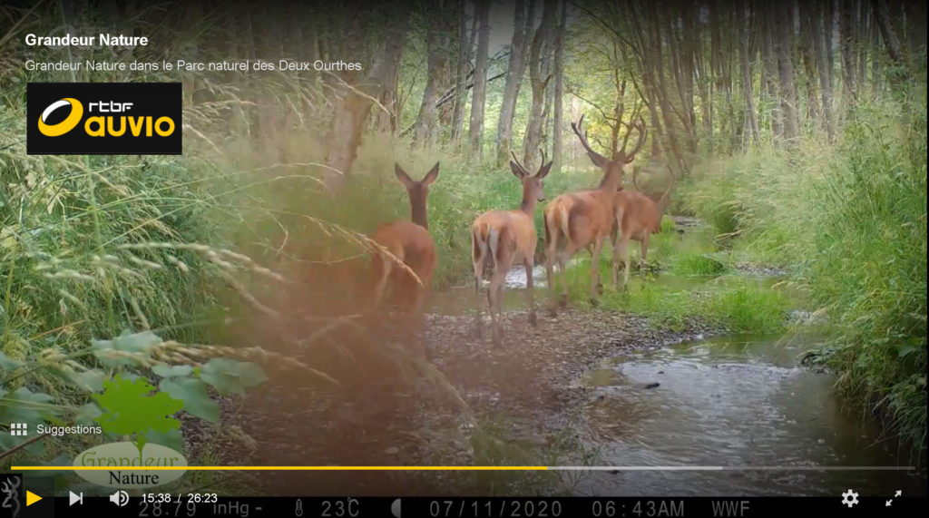 Grandeur Nature dans le Parc naturel des Deux Ourthes